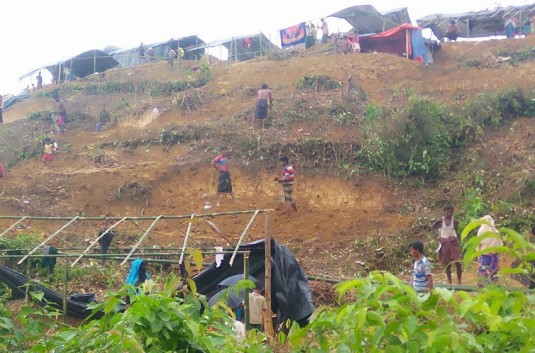 বন্য হাতির হামলায় চার রোহিঙ্গার মৃত্যু