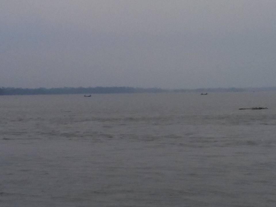 বৈরী হাওয়ায় প্রশাসন ঘুমায় জেলেরা উৎসব মুখর পরিবেশে মা ইলিশ শিকার করছে।