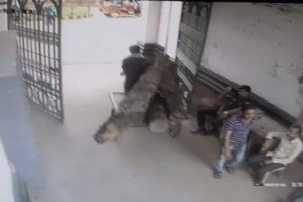 গণভবনের গাছকাটার বিষয়ে তদন্ত শুরু