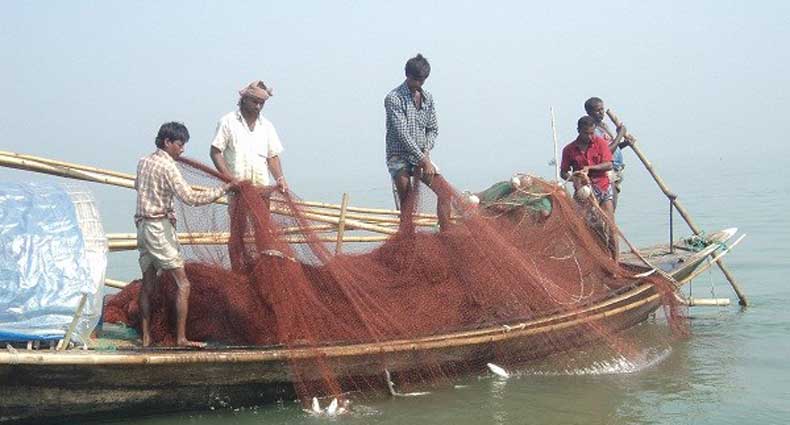 ইলিশ ধরা জেলেদের চাল বরাদ্দ অনিশ্চিত