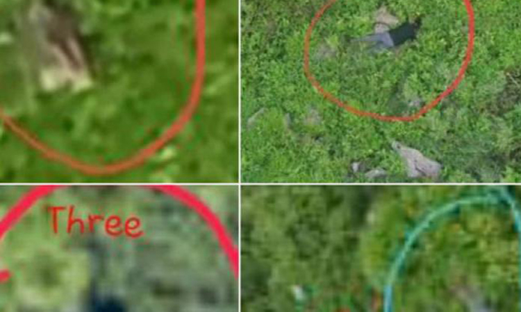 পাকিস্তানের ৫ অনুপ্রবেশকারীকে হত্যার দাবি ভারতের