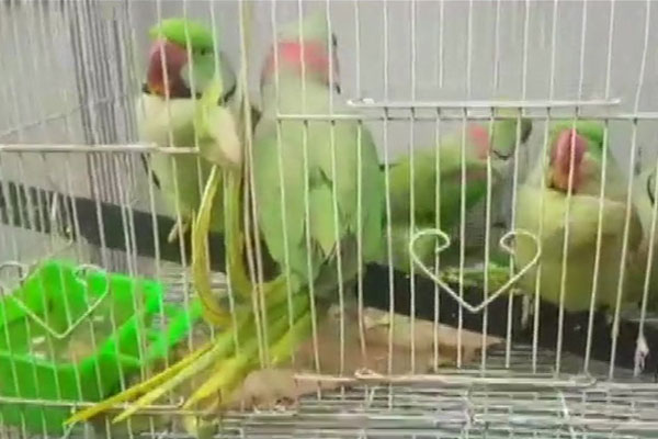ব্রেক্সিটের সময় বাড়াতে ইইউকে স্বাক্ষরবিহীন চিঠি জনসনের