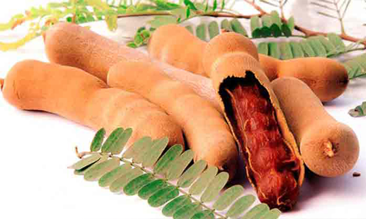 টক বিষয়ে ভুল ধারণা