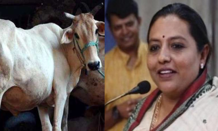 গরুকে স্পর্শ করলেই মনের নেতিবাচক জিনিসগুলো কমে যাবে: মহারাষ্ট্রের মন্ত্রী