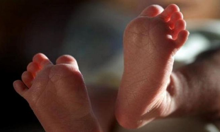 ভারতে ৫ মাস বয়সী শিশু ধর্ষণের শিকার