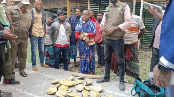 গলাচিপায় কচ্ছপ পাচারের সময় ১ নারী আটক