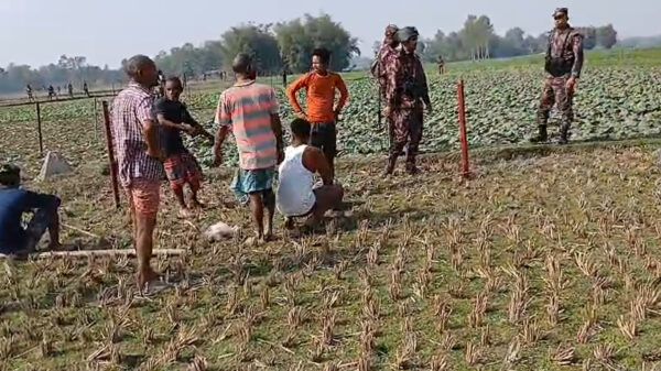 কাঁটাতারের বেড়া নির্মাণ ঘিরে উত্তেজনার মধ্যে সীমান্তে ‘বাঙ্কার’ নির্মাণ করছে বিএসএফ