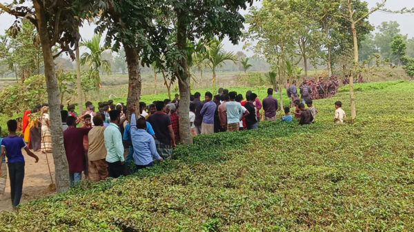 বিএসএফের গুলিতে আল আমিন নামে এক বাংলাদেশি নিহত