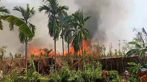 রাজশাহীতে আগুনে পুড়ে ছাই ৮০ কৃষকের ২০ বিঘা পানের বরজ
