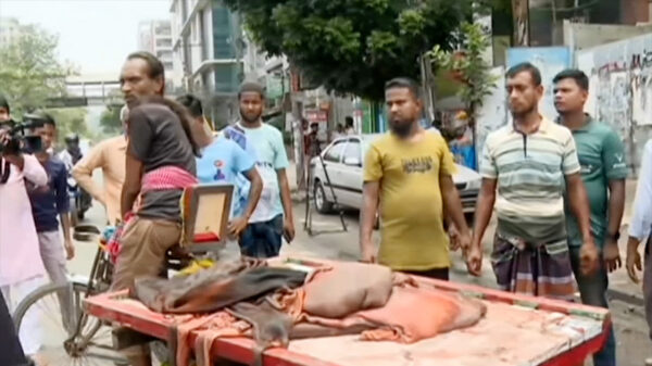 এবারও পিস হিসেবে চামড়া কিনছেন ব্যবসায়ীরা