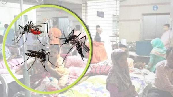 ডেঙ্গুতে একদিনে সর্বাধিক রোগী ভর্তি