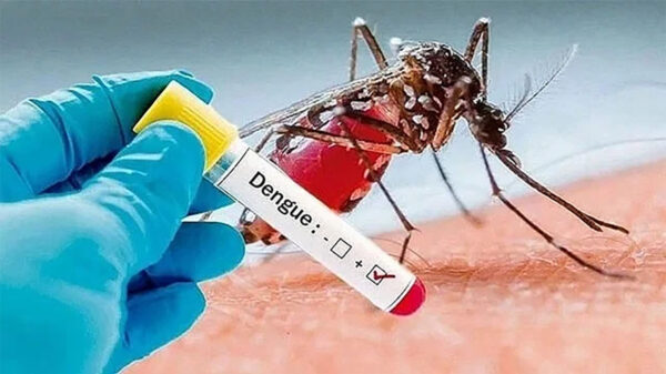 ডেঙ্গুতে আরও একজনের মৃত্যু