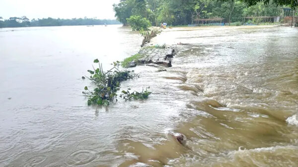 বন্যার ‘ডেঞ্জার লেভেল’র উপরে অবস্থান করছে সিলেটের কানাইঘাট ও জকিগঞ্জ