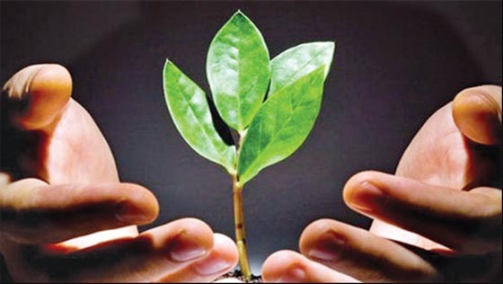 যে আমলে হায়াত বৃদ্ধি পায়