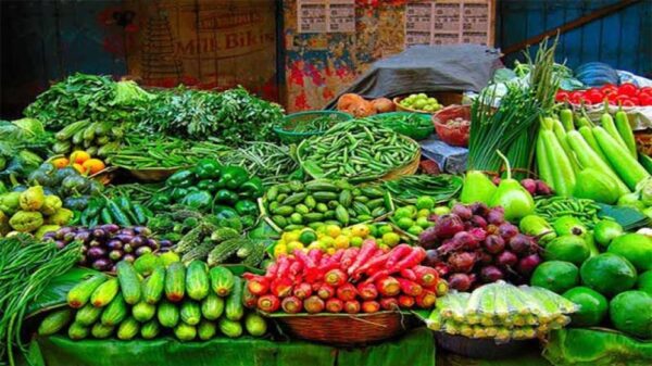 গরুর দুধের বিকল্প হতে পারে যেসব সবজি