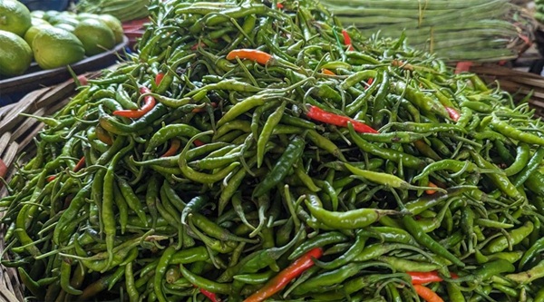 নানা অজুহাতে চড়া সবজির দাম