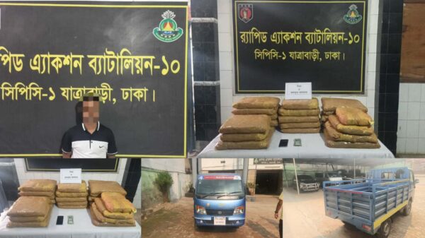 প্রায় ১৩ লক্ষ ৫০ হাজার টাকা মূল্যের ৪৪ কেজি গাঁজাসহ ০১ জন মাদক ব্যবসায়ীকে গ্রেফতার করেছে র্যাব-১০ ব্যবহৃত পিকআপ ভ্যান জব্দ
