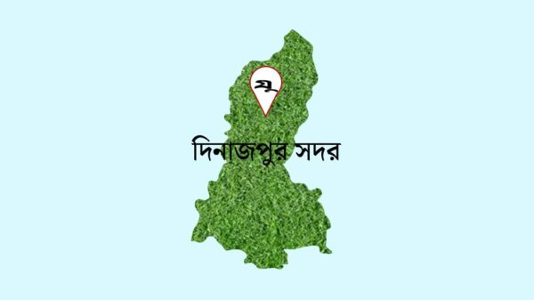 দিনাজপুরে অগ্নিদগ্ধ হয়ে স্বামী-স্ত্রীর মৃত্যু