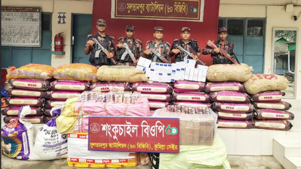কুমিল্লায় ২ কোটি টাকার ভারতীয় মালামাল জব্দ