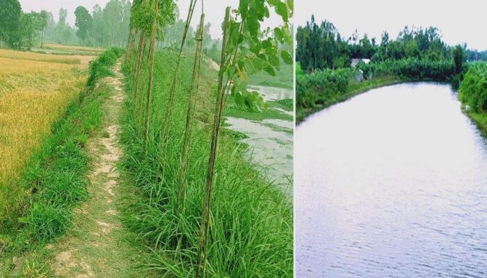 ইআইআর প্রকল্পের বহুমুখী সুফল সরকারের খাল খনন কর্মসূচির কার্যকারিতা প্রমাণ করেছে